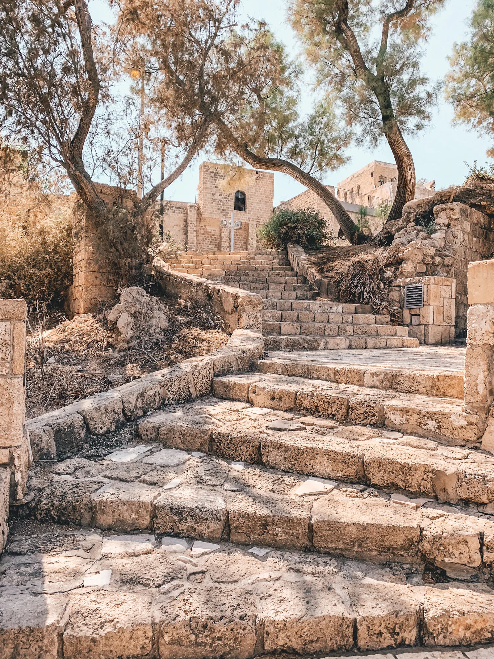 Jerusalem stone steps shaded by olive trees